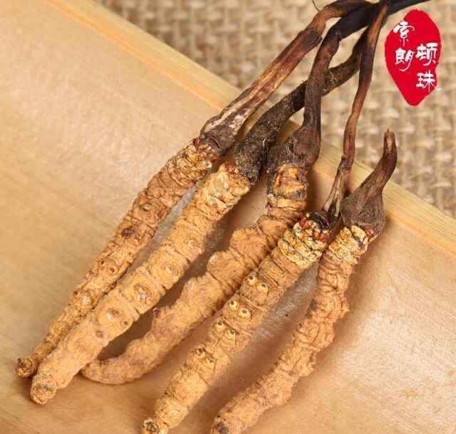 冬虫夏草一根多少钱呢 一根冬虫夏草多少钱