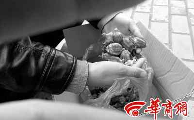 罂粟壳粉 只卖熟人 罂粟壳粉每斤二百元