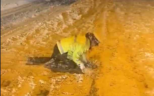 辛苦了！大连交警跪地铲雪为车辆开路 拍摄者否认是摆拍