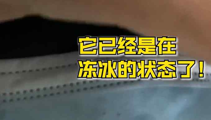 北京迎1966年以来最冷早晨 市民：骑行半小时口罩冻硬捏起来咔咔响