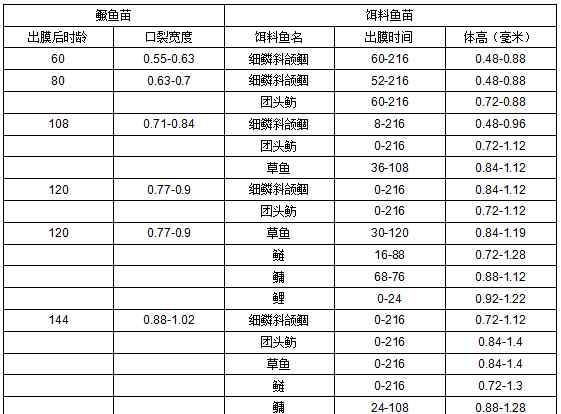 鳜鱼苗 这是一篇关于鳜鱼最全的文章（收藏）