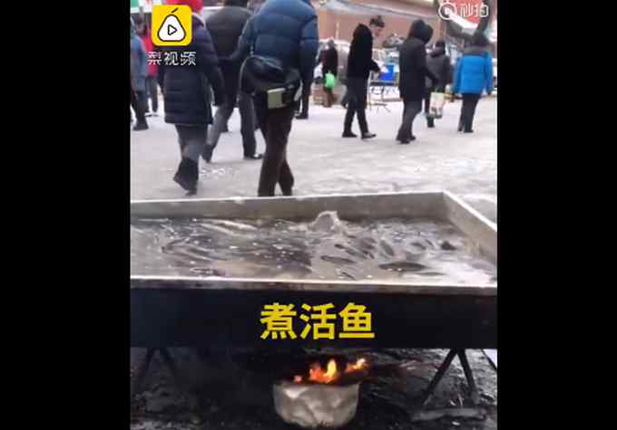 看呆！商贩卖活鱼用大铁盘边煮边卖 真相曝光网友直呼涨知识