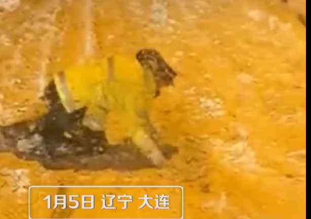 辛苦了！大连交警跪地铲雪为车辆开路 拍摄者否认是摆拍