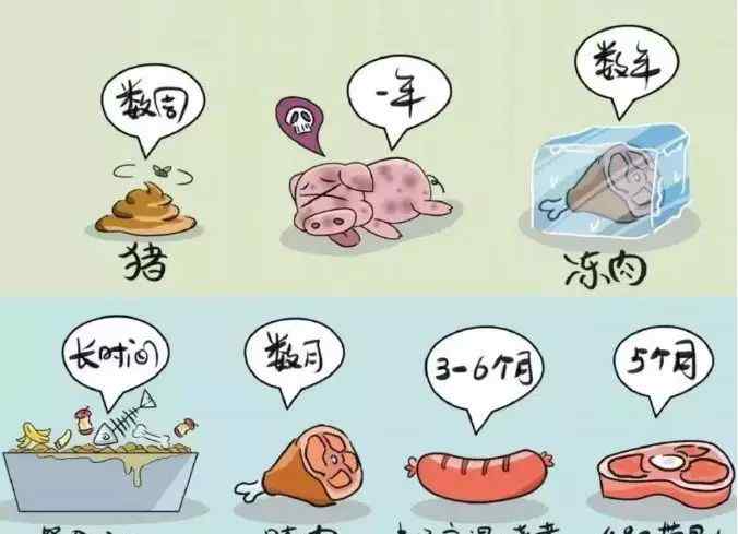 非洲猪瘟治疗方法 预防非洲猪瘟措施,猪瘟最好治疗方法