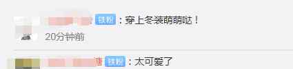 可爱！大连两只企鹅穿中式冬装 网友：穿新衣过年了