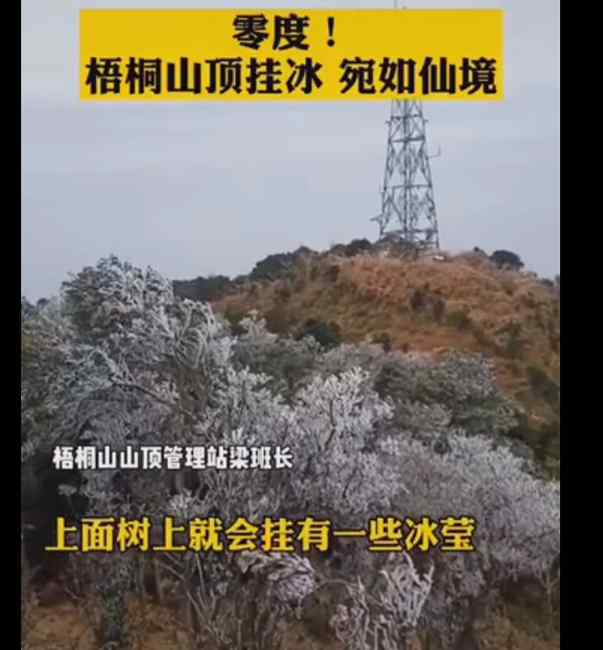 广东加入下雪“群聊” 深圳梧桐山出现霜冻 网友：难得啊！