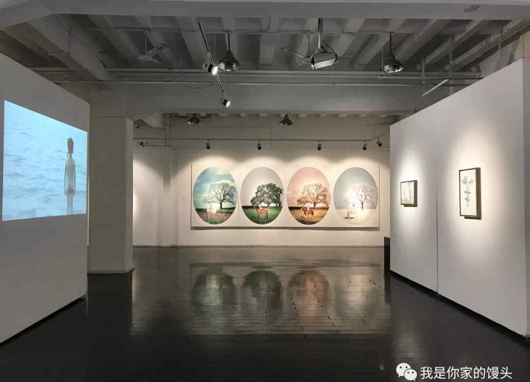 黄海清 黄海清文章配图