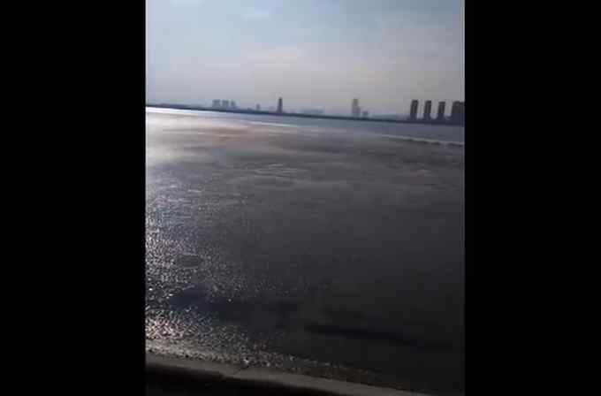 钱塘江都结冰了 青岛海浪翻涌瞬间被冻住 市民拍下罕见一幕！
