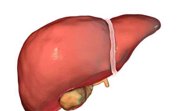 谷丙转氨酶高是怎么回事 谷丙转氨酶偏高是怎么回事？一定是肝脏出问题了吗？辟谣来了