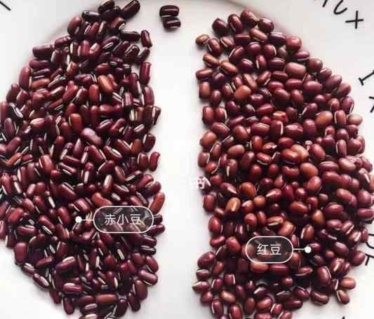 薏米红豆水怎么煮减肥 霍思燕同款红豆薏米水，减肥祛湿美白，正确煮法在这里！