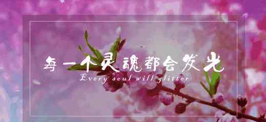 杰奎琳 杰奎琳：从第一夫人到丈夫被刺一无所有，她硬是将生活活成了传奇