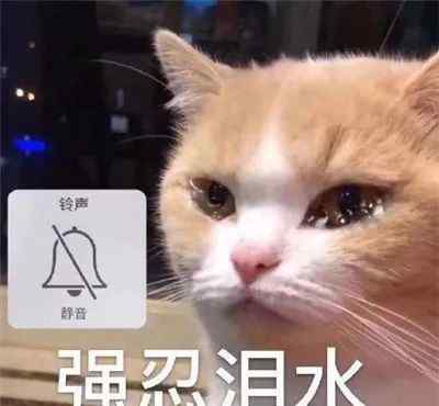 湖南益阳一阿姨7元一斤买猪油当年货 下锅一炸全是水！
