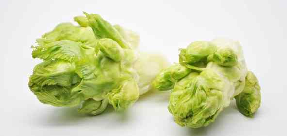 多头菜 多头菜吃了会上火吗 多头菜的营养价值