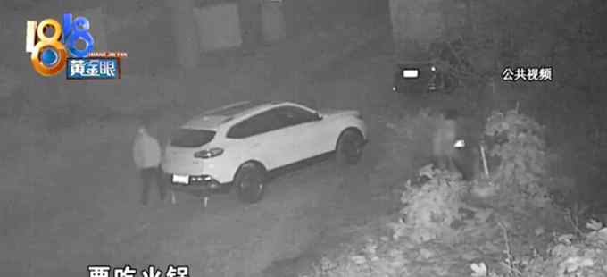 浙江俩男子为吃火锅去地里偷芹菜 一整块地被拔光！网友：现实版偷菜