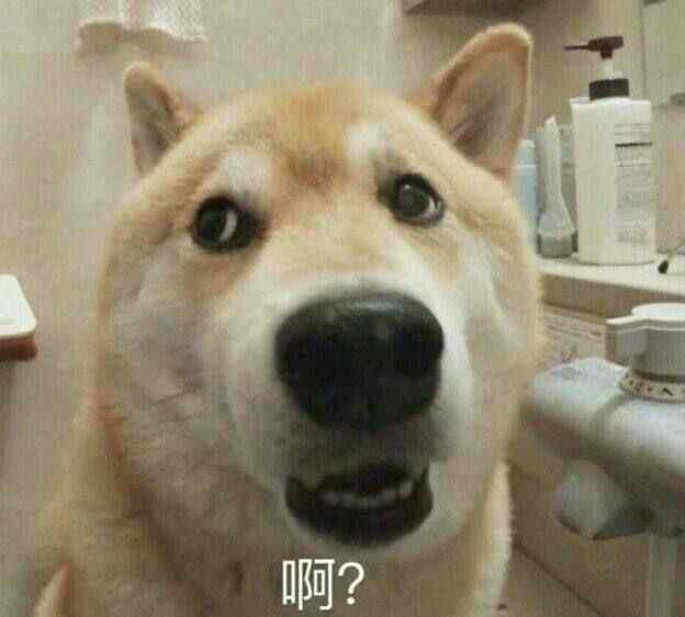沙雕情头 和你家憨憨一起用的沙雕情头