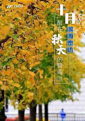 泰达吧 如果回天津吧？不如就来滨海，不如就来泰达吧？