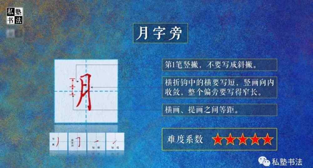 月字旁的字与什么有关 月字旁的字，为什么很多都跟身体有关？