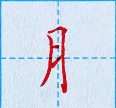 月字旁的字与什么有关 月字旁的字，为什么很多都跟身体有关？