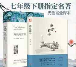 骆驼祥子写作背景 《骆驼祥子》导读