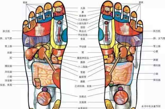 脚上的穴位图 脚部穴位详细图解！文章配图