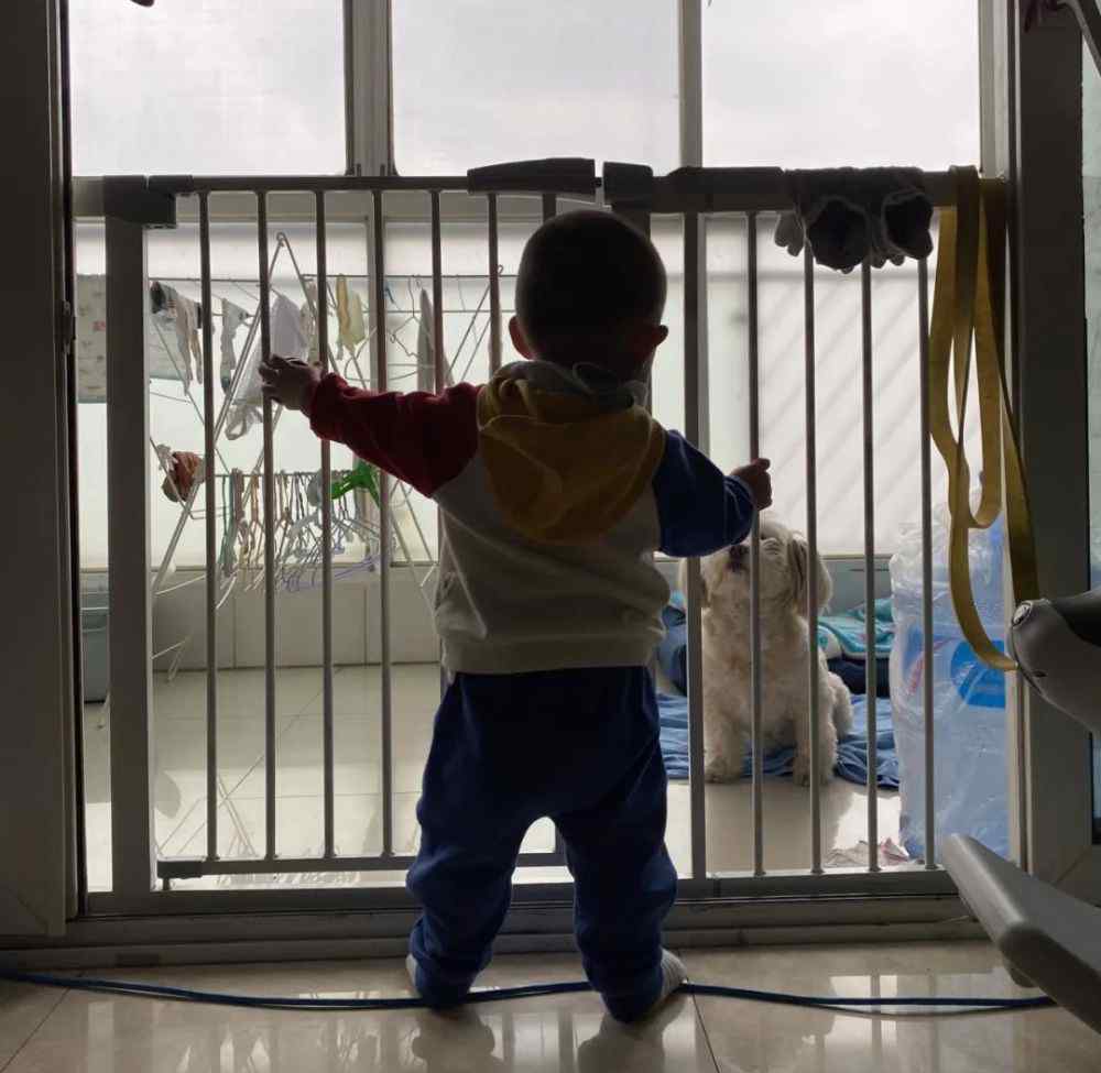 宠物与我 养宠物和养孩子，都改变了我｜谈谈宠物与孩子的共处