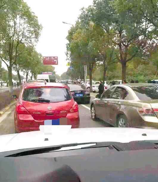 东钱湖水上乐园门票 宁波东钱湖水上乐园昨闭园 郁金香展撞上女王节