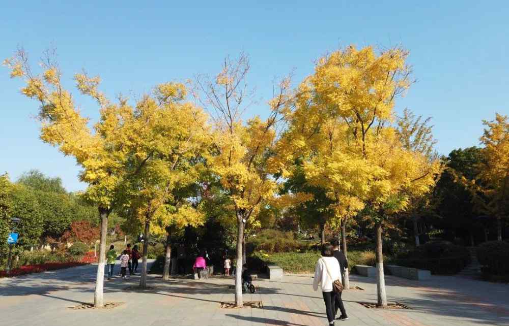 北京国际雕塑公园 【赏秋】秋天，我在北京国际雕塑公园等你