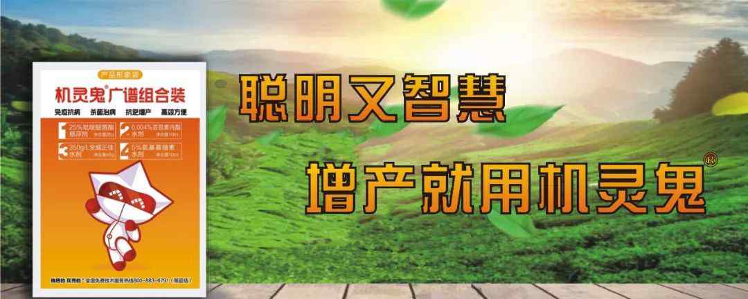 植物识别扫一扫 支付宝实用小功能，扫一扫5秒识别出植物名称