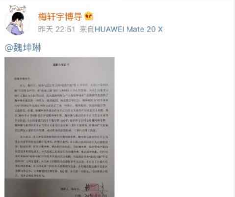 梅轩宇 梅轩宇最强大脑在那场 梅轩宇微博承认捏造道歉魏坤琳