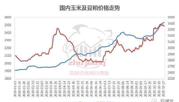 猪饲料价格 猪价暴跌！玉米、豆粕暴涨！饲料又涨价175元！养猪利润缩水多少？