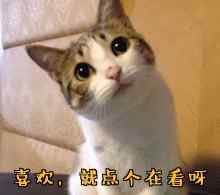 合肥地铁6号线详细站点 合肥地铁6号线一期最新进展！