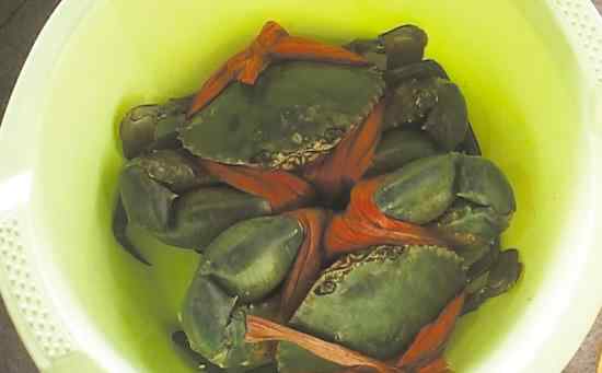 三门青蟹 三门发现两只“巨无霸”大青蟹 重量都是1.4公斤