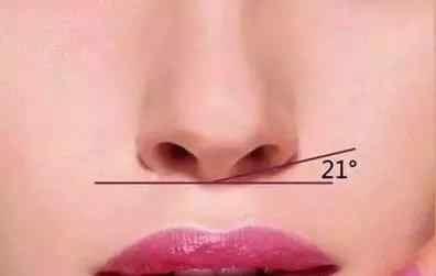 标准鼻子 一个漂亮的鼻子需要达到这8个标准，你占了几项？