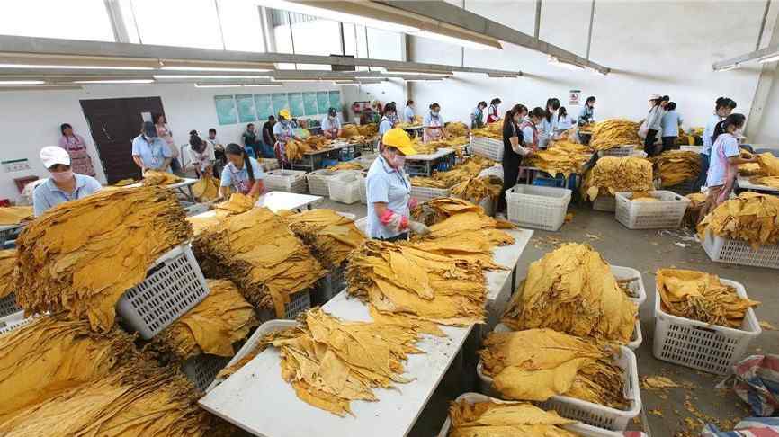 香烟涨价 控烟力度加大，分段涨价让烟民“断口粮”，2千家烟厂陆续关门文章配图