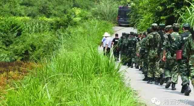 向金坤 湘西龙山8.22特大恶性杀人案嫌犯落网记文章配图