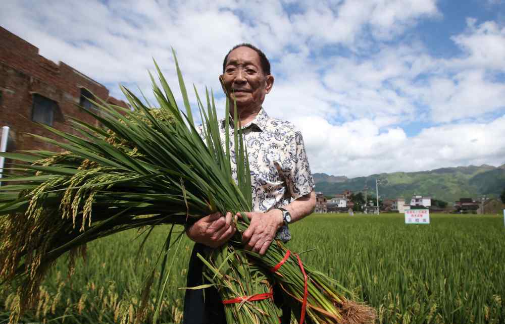 双季稻 这才是值得尊敬的人：双季稻亩产3000斤，袁隆平再创新纪录