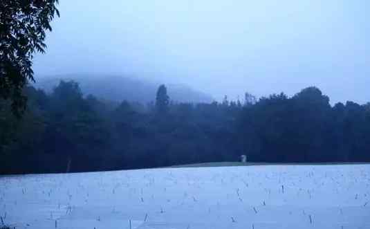杭州太子湾 杭州太子湾雪景照刷爆朋友圈 真相其实是这样