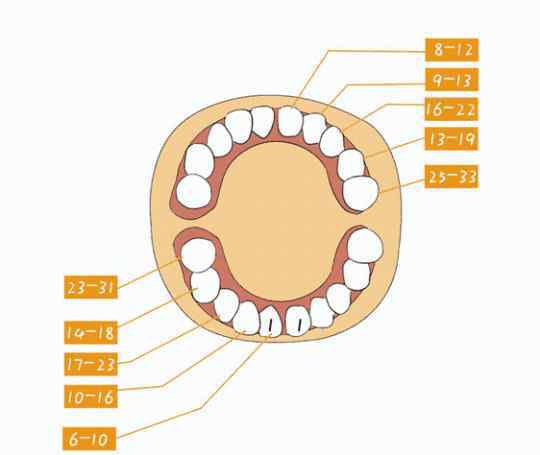 老一辈说宝宝太早长牙大凶 “富贵晚出牙”，孩子出牙越晚越好？超过这个点就要警惕了