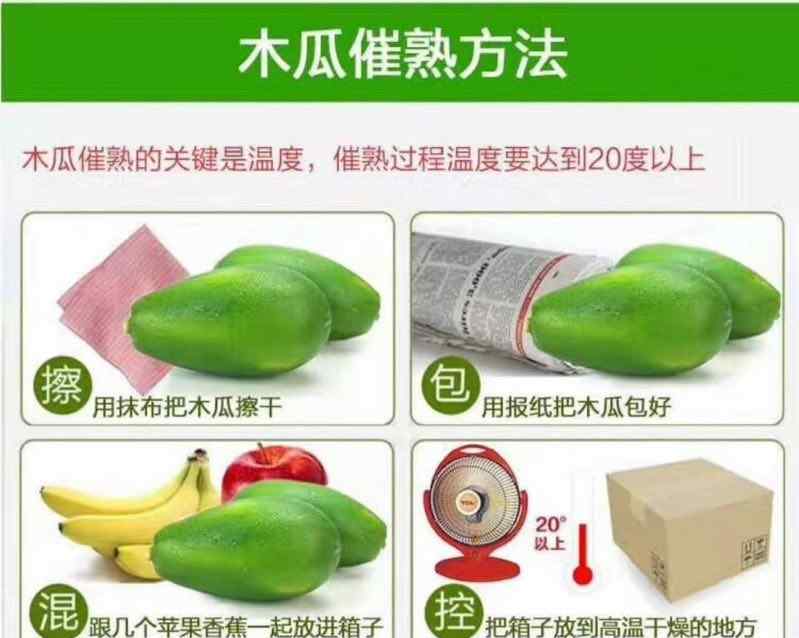 很硬的青木瓜怎么催熟 青木瓜的催熟方法