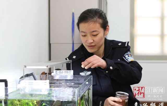 女警故事 嘉兴90后刑侦女警 演绎不平凡的女警故事