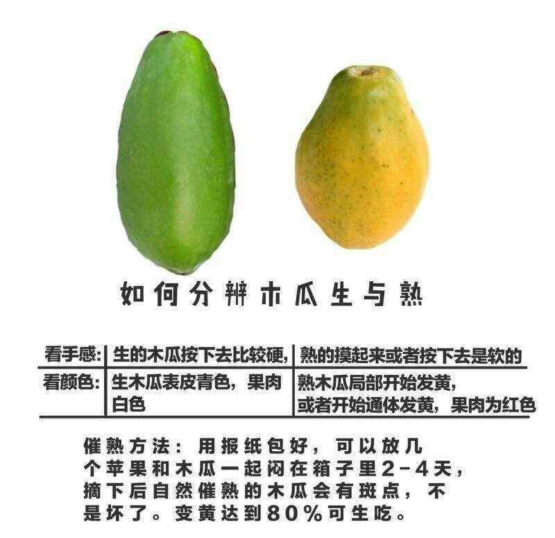 很硬的青木瓜怎么催熟 青木瓜的催熟方法
