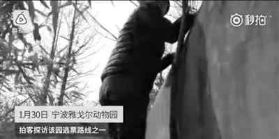 宁波事件 宁波老虎咬人事件后续：死者亲戚认为园方有责任