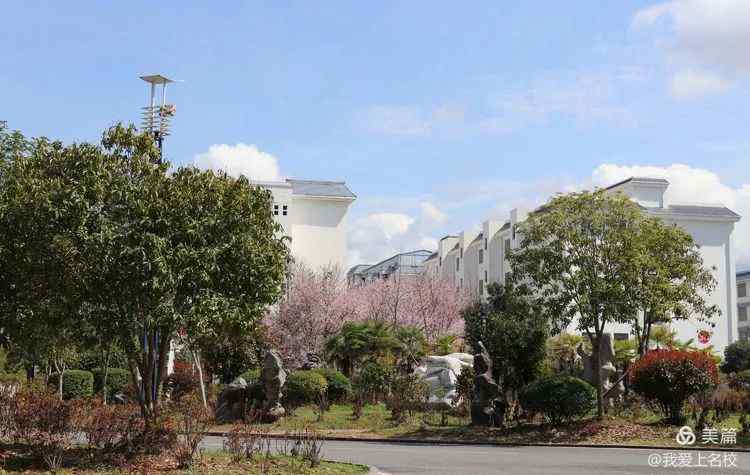 皇仓中学 重磅！龙山县皇仓中学2020年清华、北大录取6人