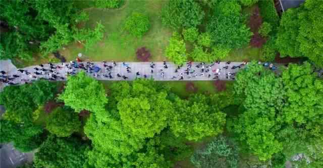 免费公园 你知道吗? 在衢州有80多个免费公园