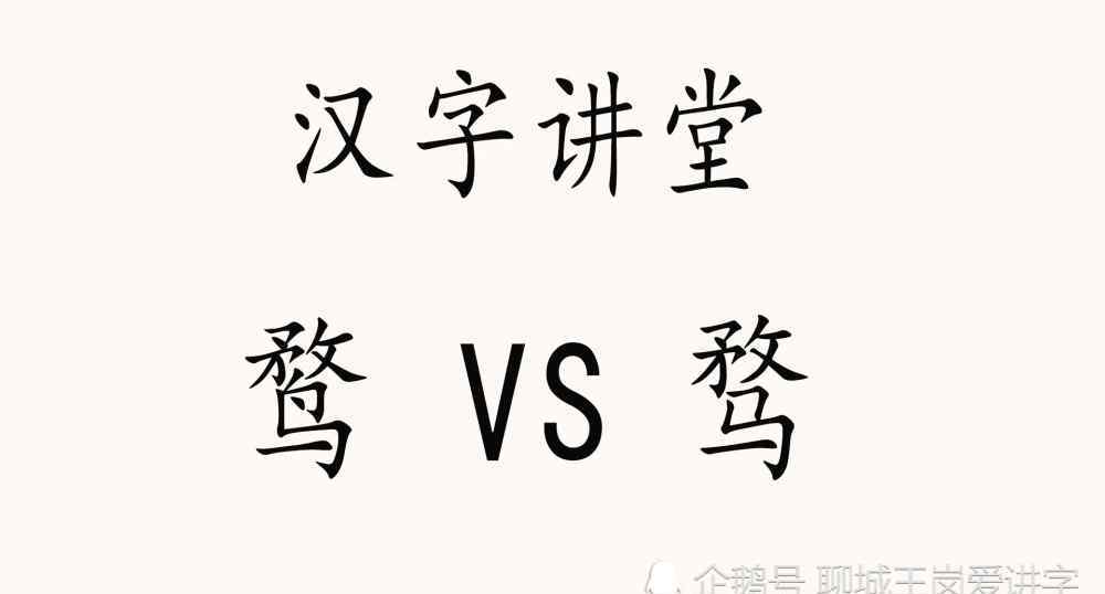 骛与鹜的区别 汉字课堂：“鹜”和“骛”有什么区别？一只野鸭，一匹马