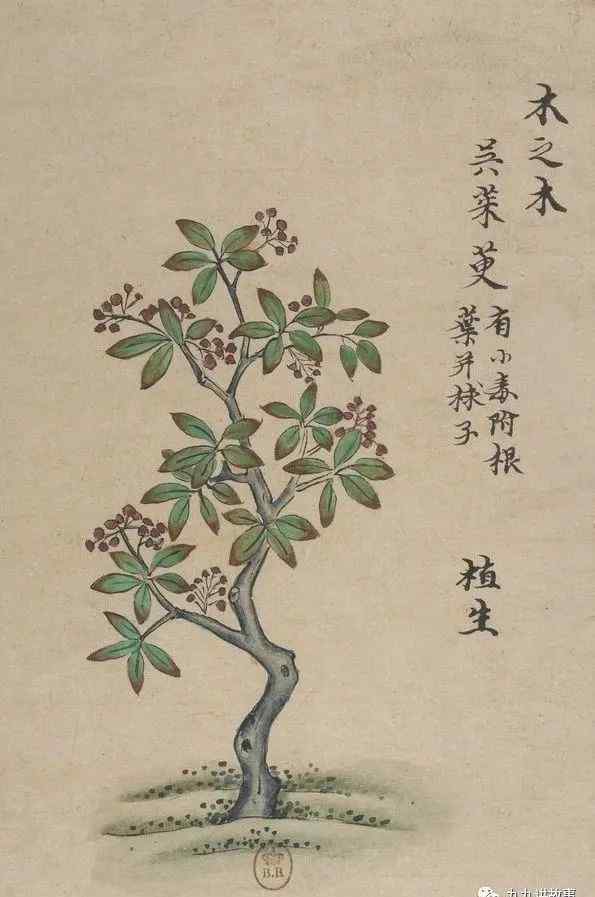 九月初九是什么节 重阳节：为什么九月初九叫重阳节？