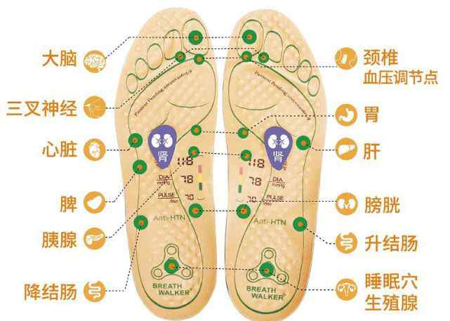 足底按摩穴位图 什么是反射疗法？不仅仅是脚底按摩！