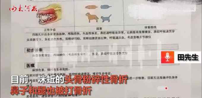 云南2保安持棍暴打14岁金毛犬 画面令人气愤！主人：治好也残废