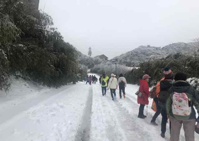 金佛山现在有雪吗 金佛山今天又下雪了，周末去看雪女性还免门票