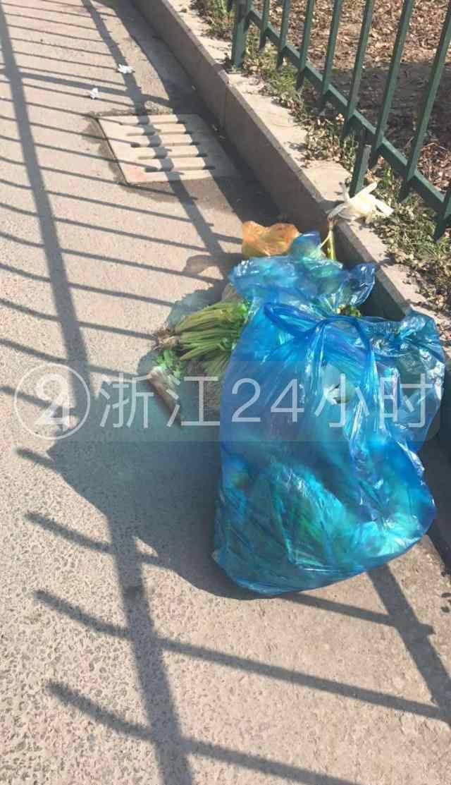 德胜高架 杭州德胜高架女子被车撞身亡 地上一大滩血迹
